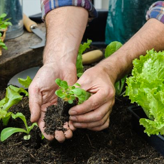 ホタルの里 グループホーム サービス内容